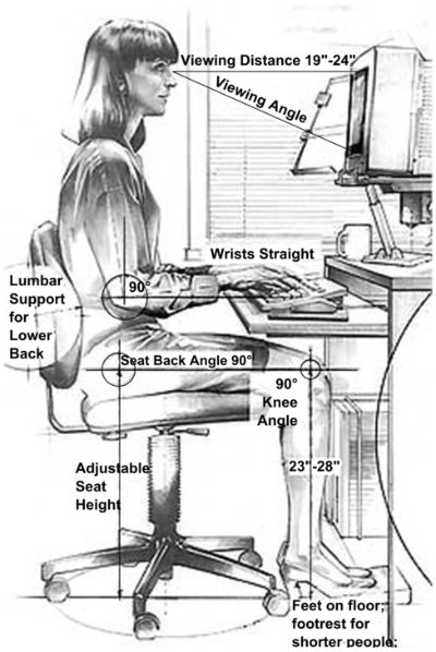 Ergonomics - Human Factors - Computer Workstation Variables